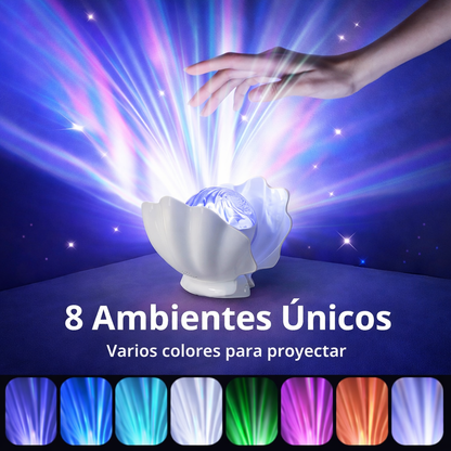 Concha Boreal Que Ilumina